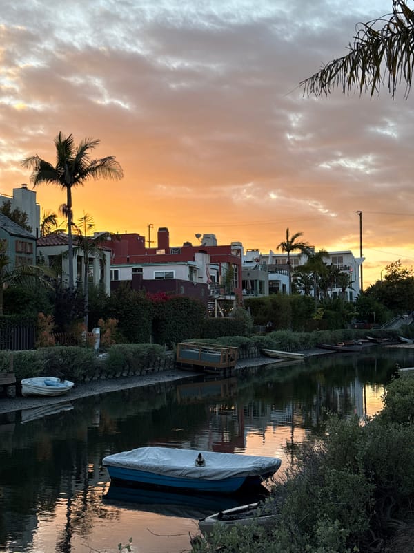 Evening life documented along Venice Canals in Los Angeles