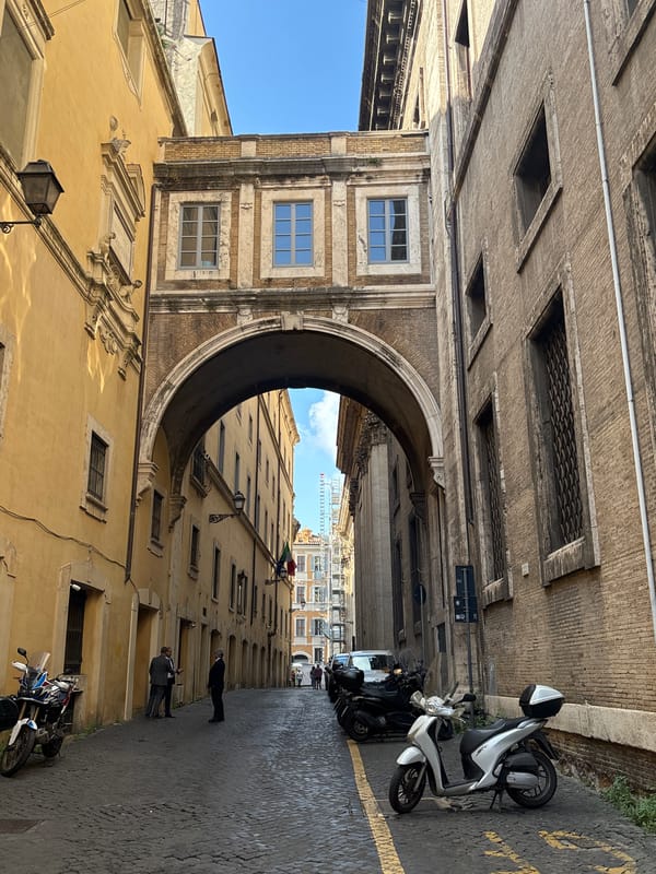 Tourist captures Rome's historic architecture during afternoon walk