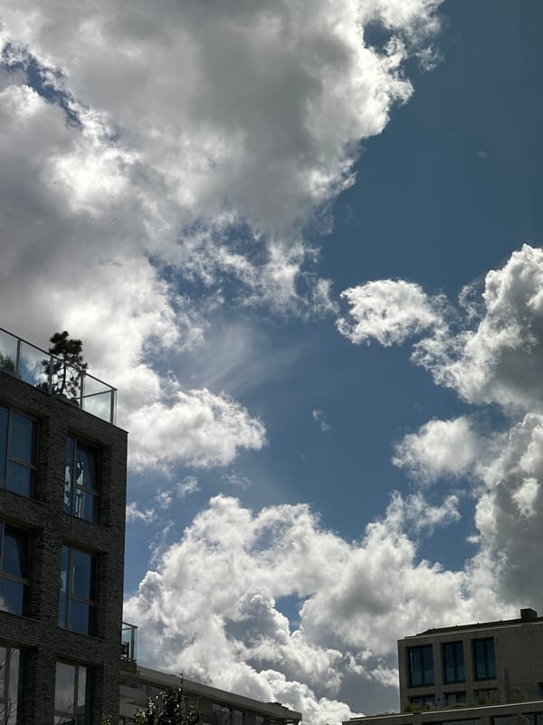 Amsterdam resident documents crystal collection amid dramatic afternoon skies