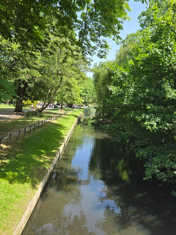 Londoners enjoy sunny afternoon stroll along Regent's Canal