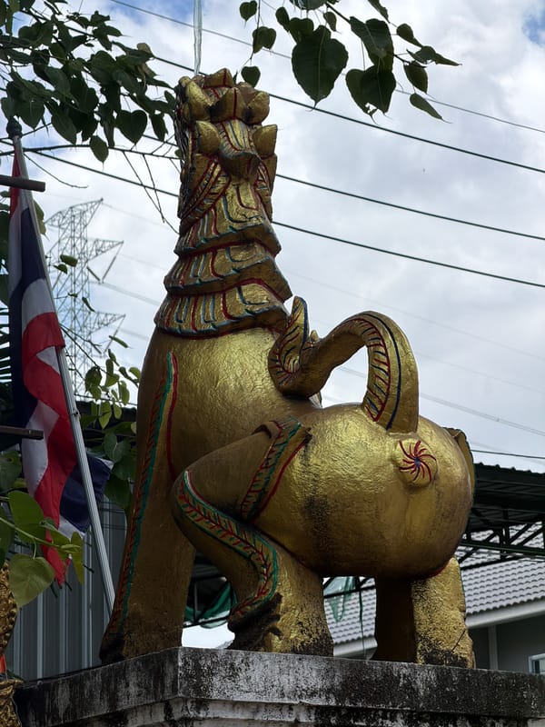 Morning scenes captured in Chang Phueak: statue, woman working