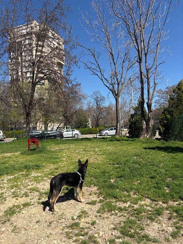 Daily life documented across Plovdiv parks and cafés