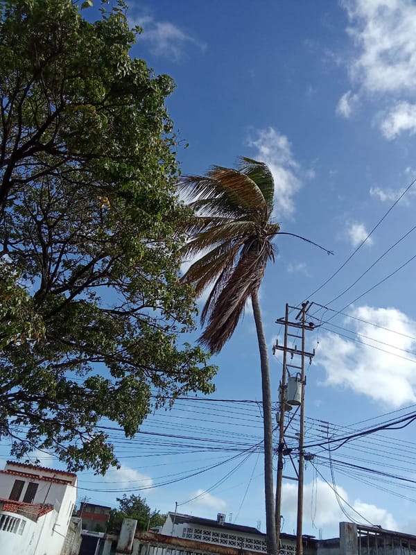 Everyday life documented in Juan Griego, Venezuela