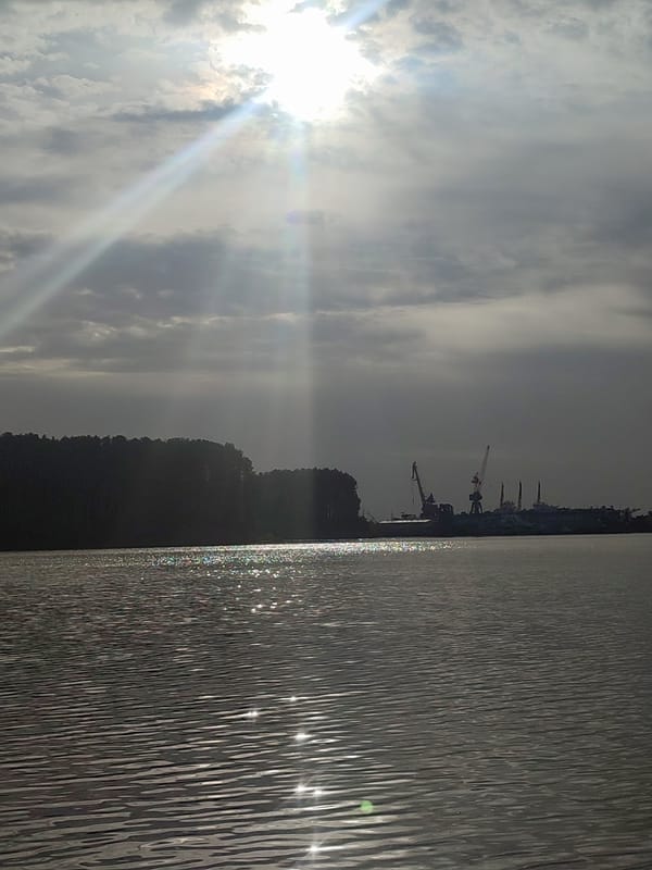 Waterfront scenes with ships, playground, and pet documented