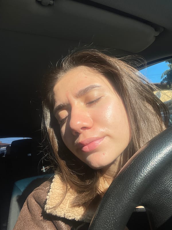 Woman photographed driving in Sofia morning hours