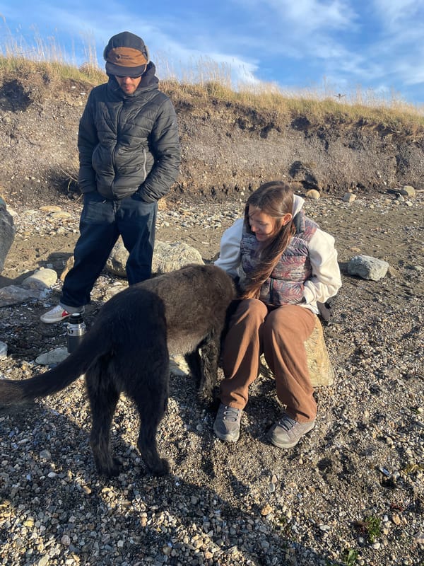 Person and dog enjoy afternoon on Ushuaia rocky beach