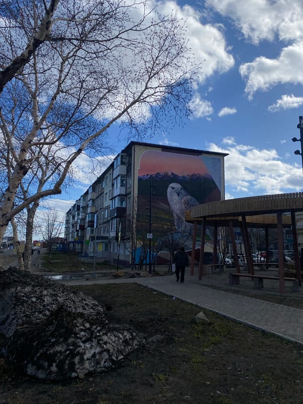 Morning scenes documented across Petropavlovsk-Kamchatsky featuring owl mural, construction