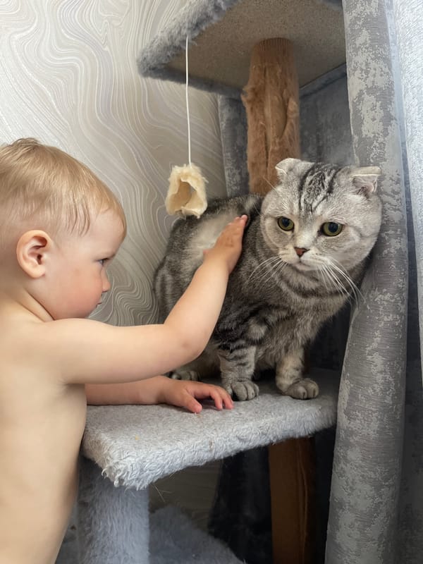 Morning moments: baby plays with cat, woman takes selfies