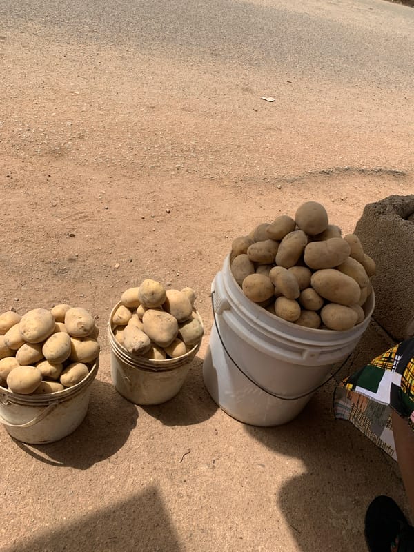 Potato vendor arranges buckets of produce in Jos