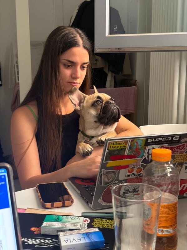 Woman holds French Bulldog at laptop desk in Milan