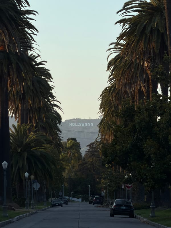 Early morning Hollywood sign and magnolia bloom captured in LA