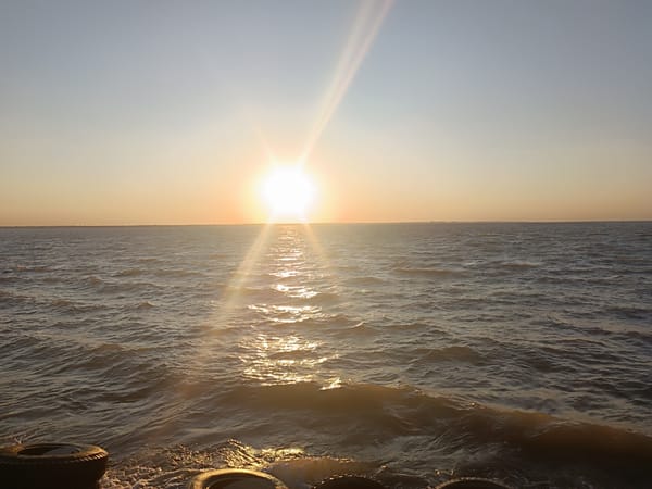 Golden hour at the ocean, multiple angles on a sunset