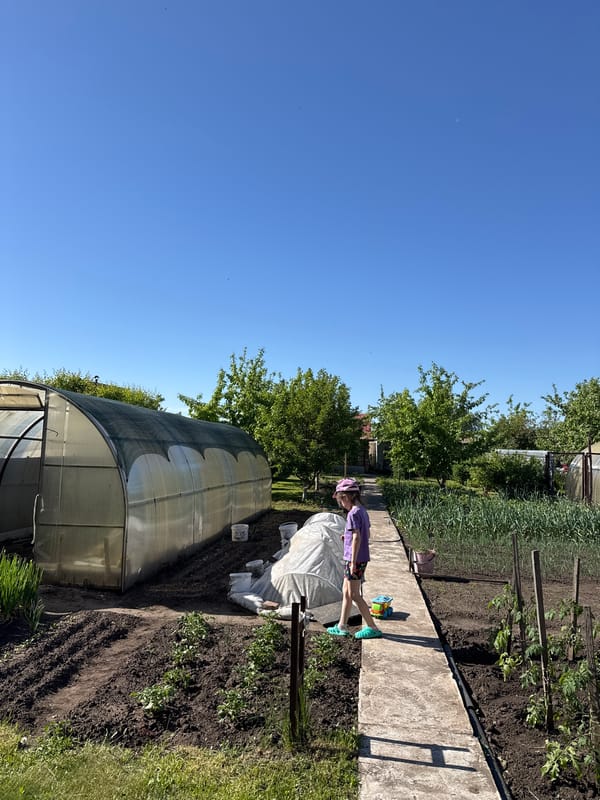Gardener tends plants on concrete pathway under clear skies