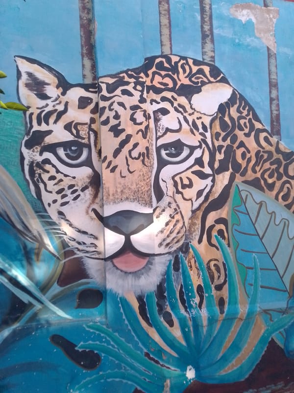 Street art and monuments documented in San Lorenzo, Paraguay
