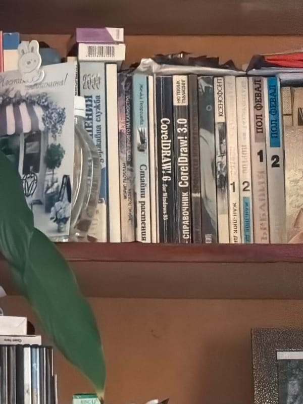 Domestic Life Documented in Velingrad Home During Spring Afternoon