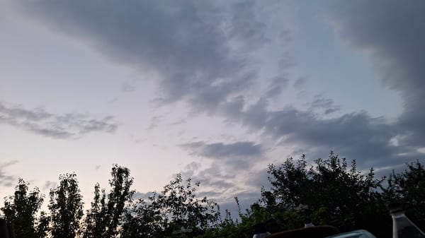 Dusk settling over Fergana City, clouds and tree silhouettes