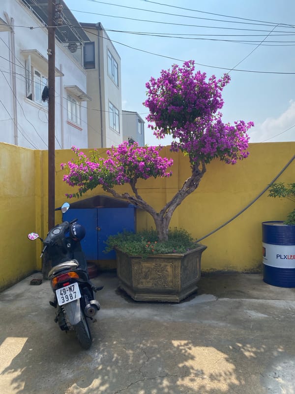 Early morning street life captured in Da Lat, Vietnam