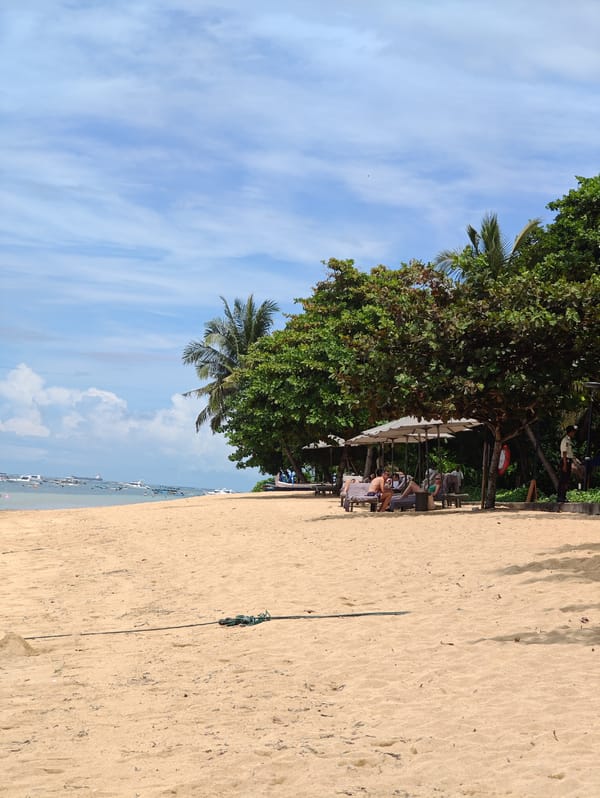 Early morning beach walk with dog in Denpasar