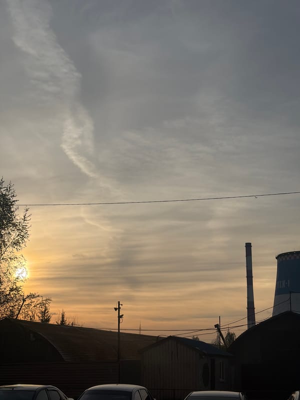 Saint Petersburg resident documents industrial sunset views, elevator selfies