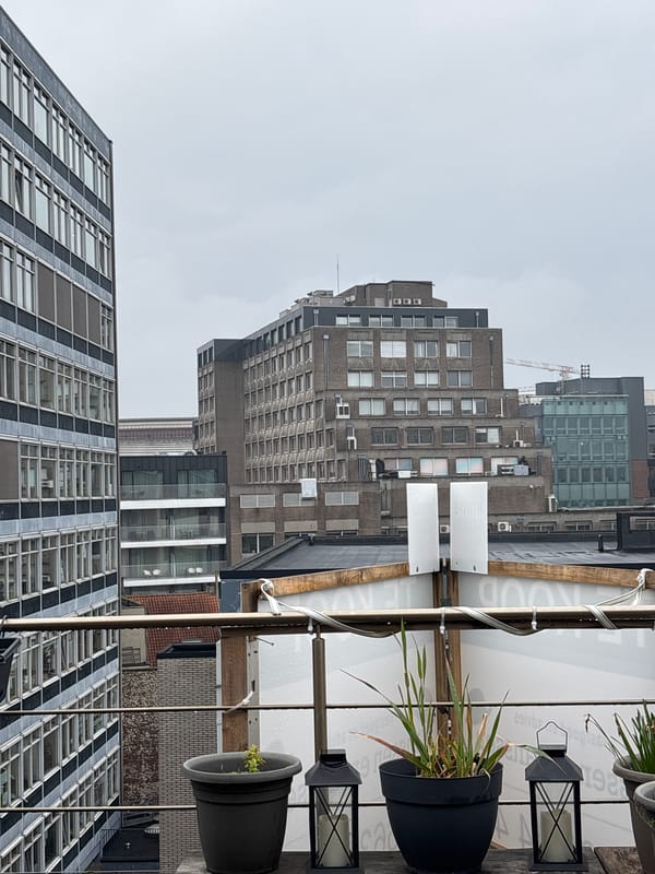 Morning moments in Antwerp: architecture and cat spotted