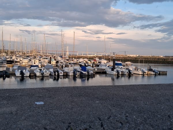 Evening marina activity documented in Figueira da Foz, Portugal