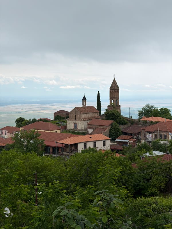 Multiple elevated views of Sighnaghi Georgia landscape