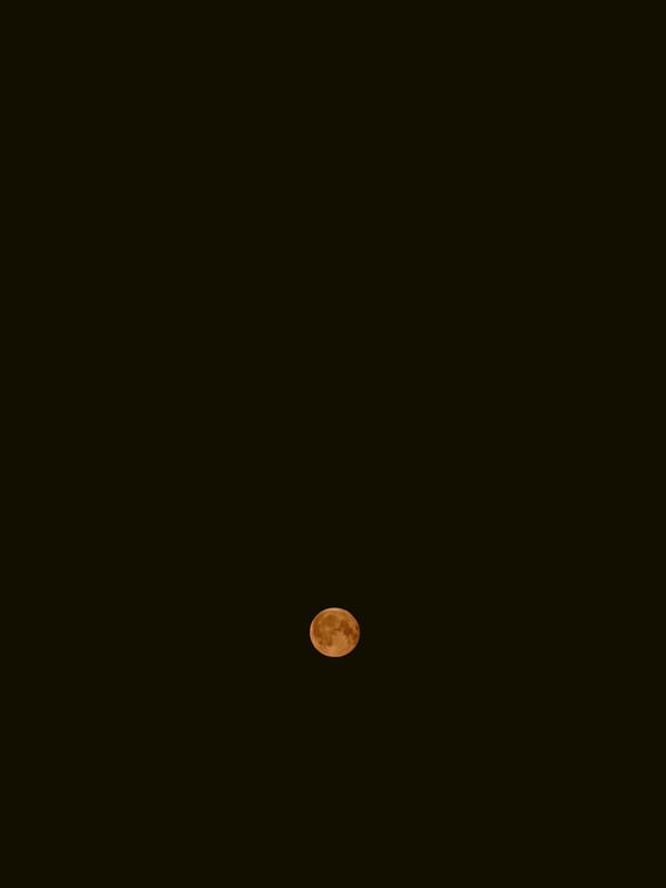Full moon rises over Shushary rooftops on a June night