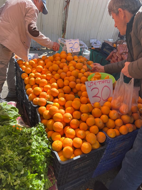 Daily commerce captured at Alanya Turkey street market