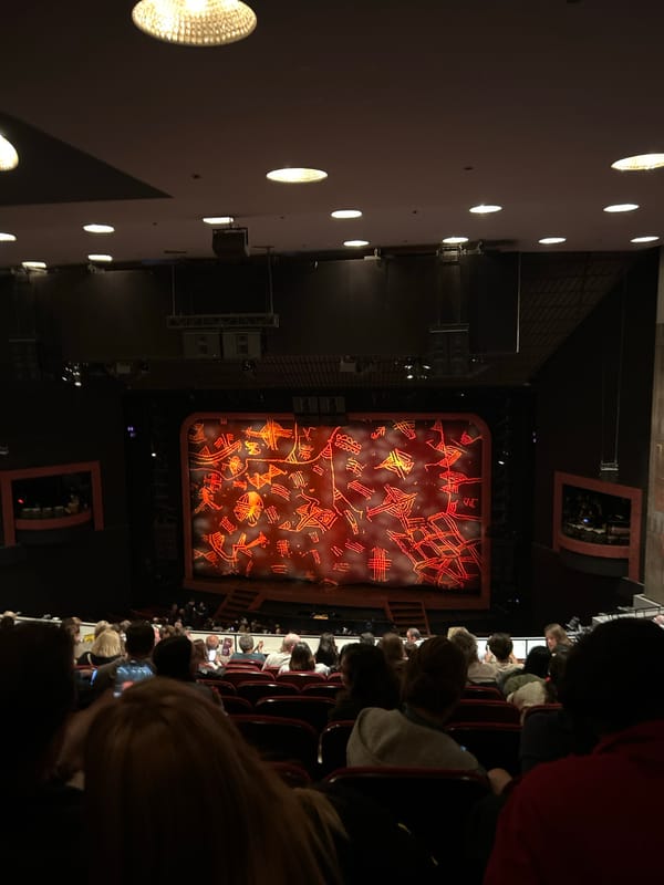 Theatergoer documents Lion King performance at Minskoff Theatre