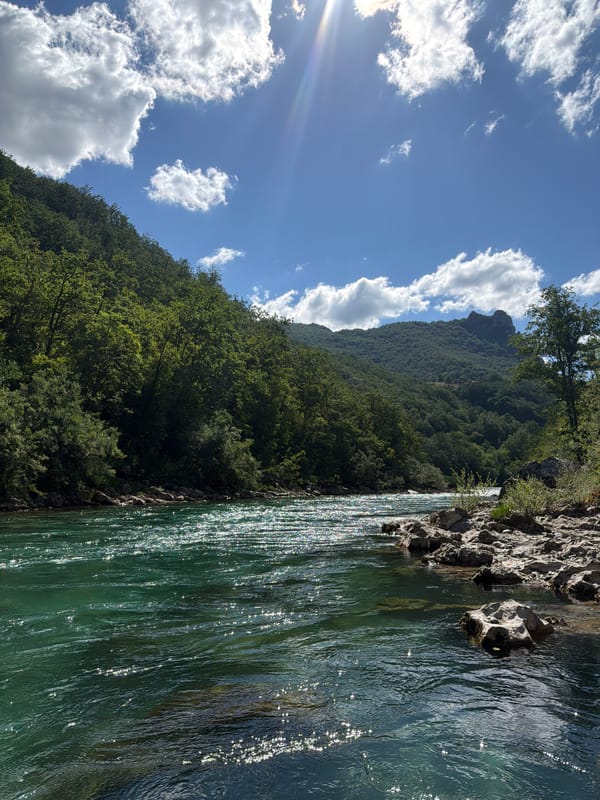 Turquoise river flowing through a mountain canyon in Montenegro
