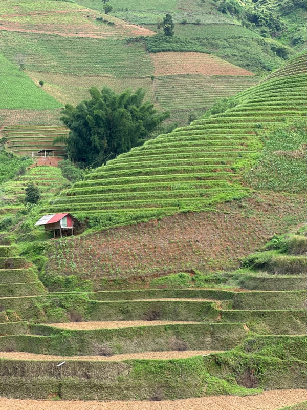 Terraced fields and travelers documented in mountainous Vietnam