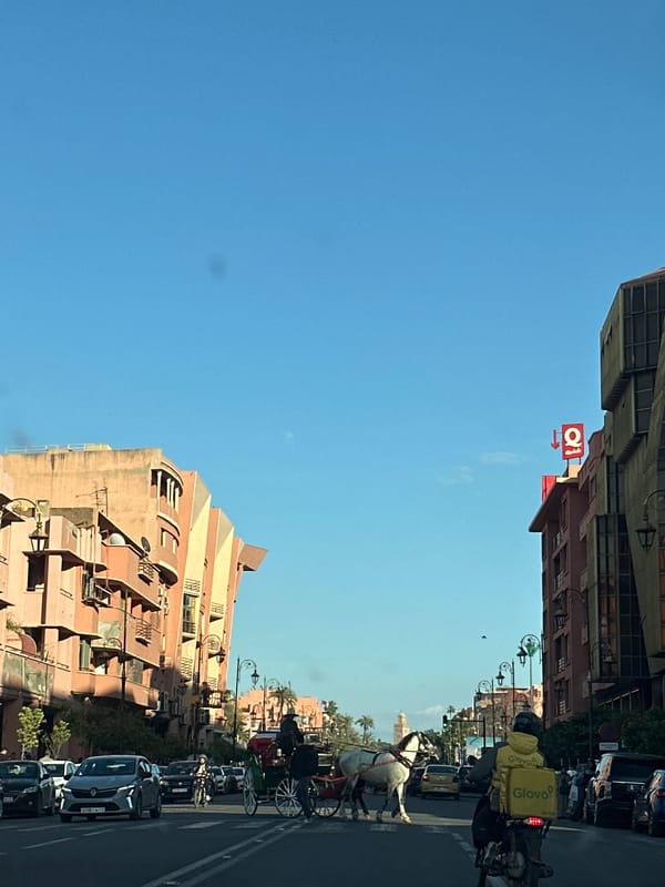 Mixed transport scene documented in Marrakesh street