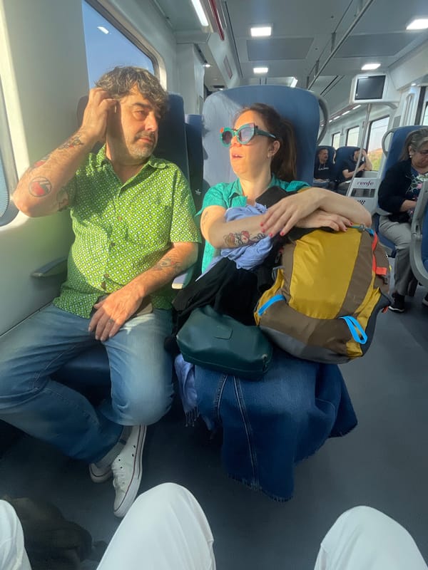Two passengers rest during early morning train journey in Spain