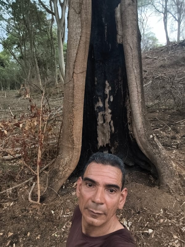 Men document fire damage in Tinaquillo forest areas