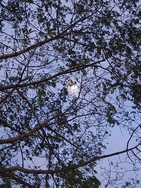 Evening scenes documented across Ciudad Guayana, Venezuela