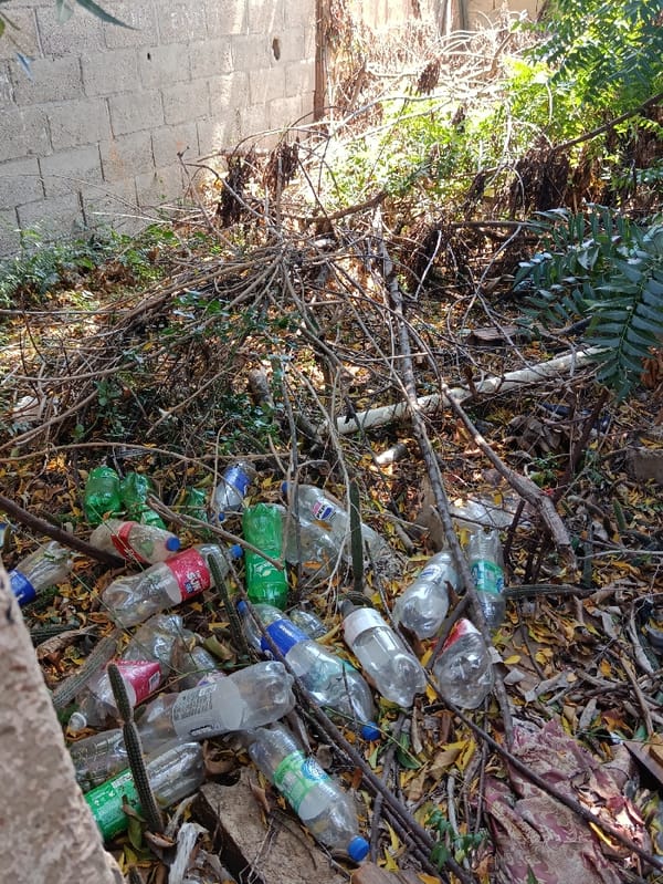 Valentine's Day documentation captures intimate moments, decay in Juan Griego