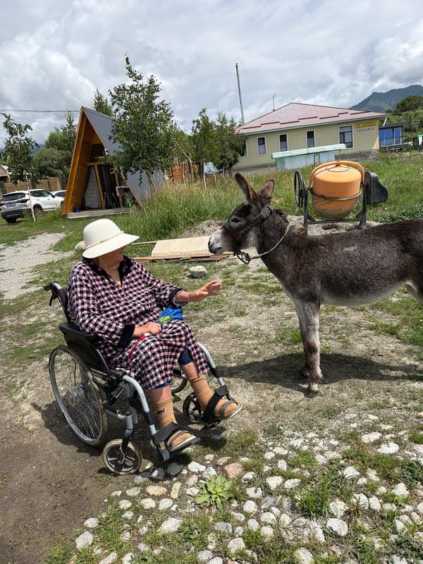 A summer day out: farms, flowers, and a pebble beach