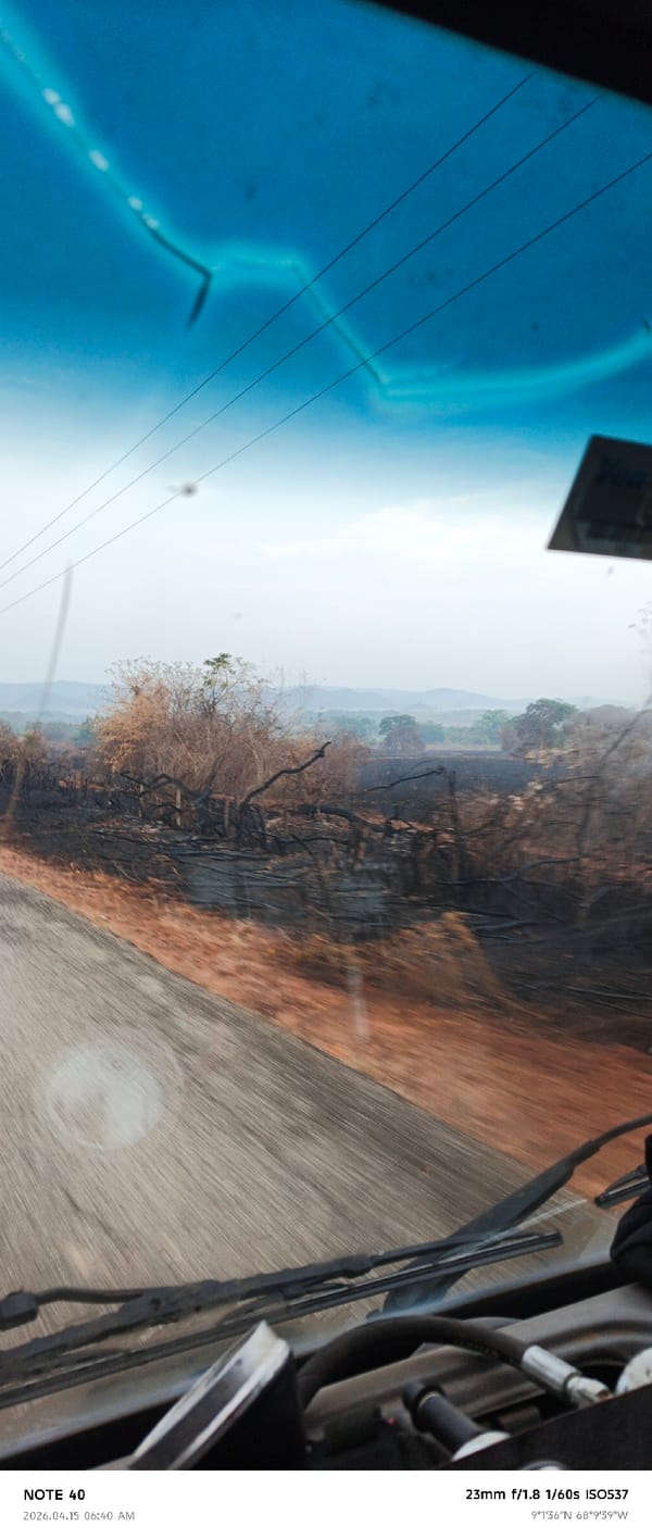 Vehicle drives through fire-damaged landscape in La Cruz, Venezuela