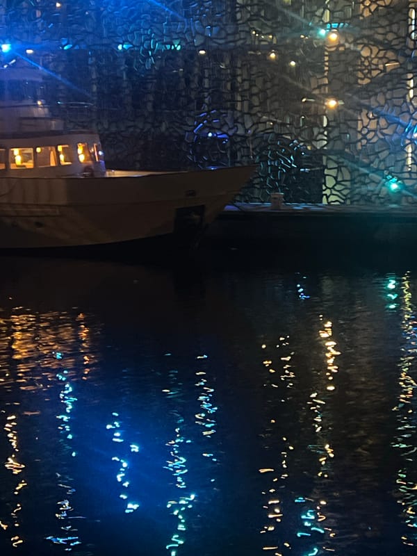 Evening gathering at Marseille's illuminated Mucem waterfront draws dancers