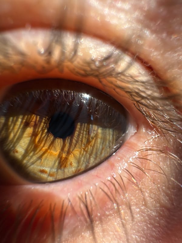 Macro photography session in Tbilisi: eyes, cactus, and backlit leaves