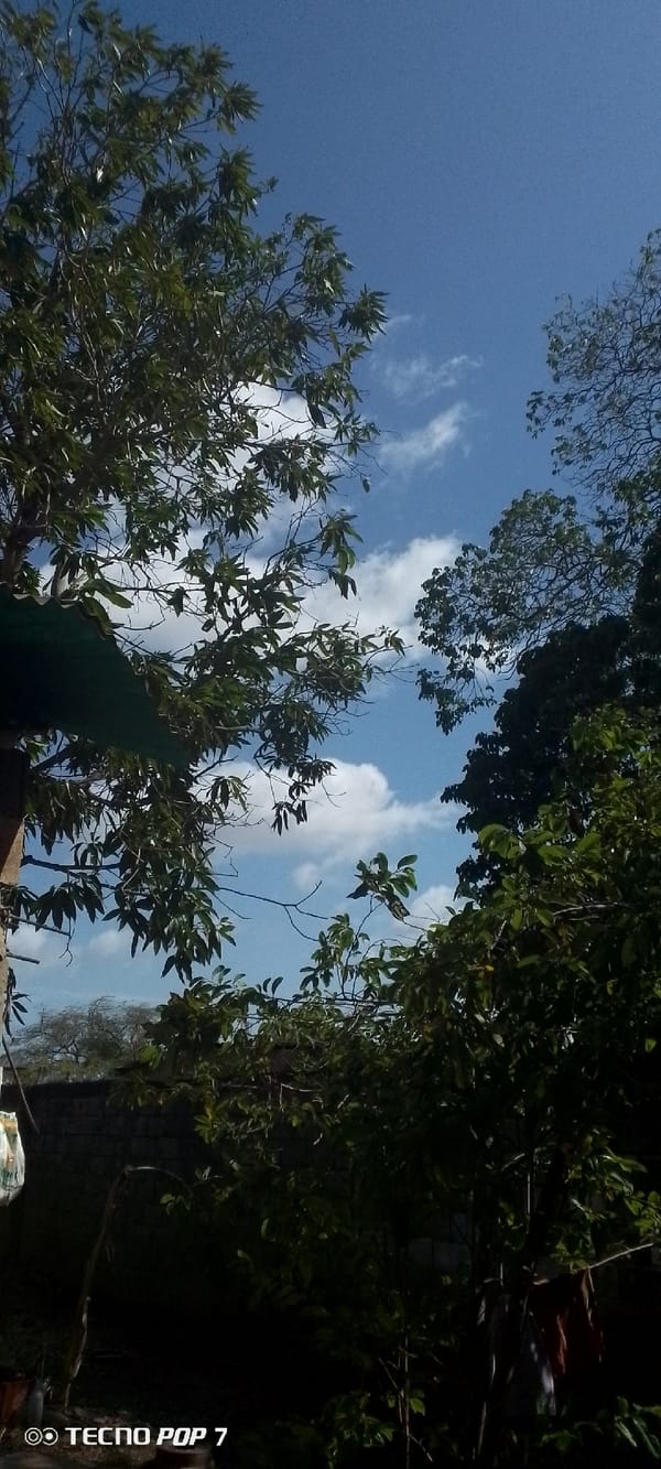Afternoon sky-gazing and street scenes in Altagracia, Venezuela