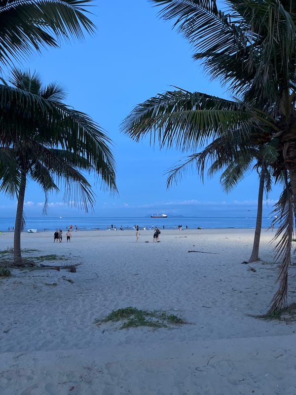 Dusk on a Đà Nẵng beach, palms and stillness