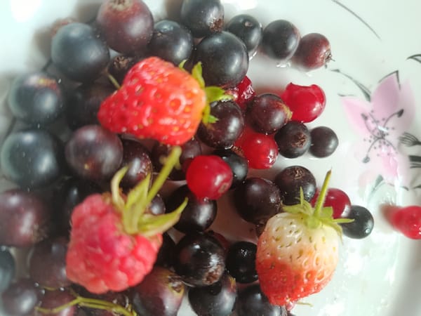 Morning table and garden details: berries, eggs, and wildflowers