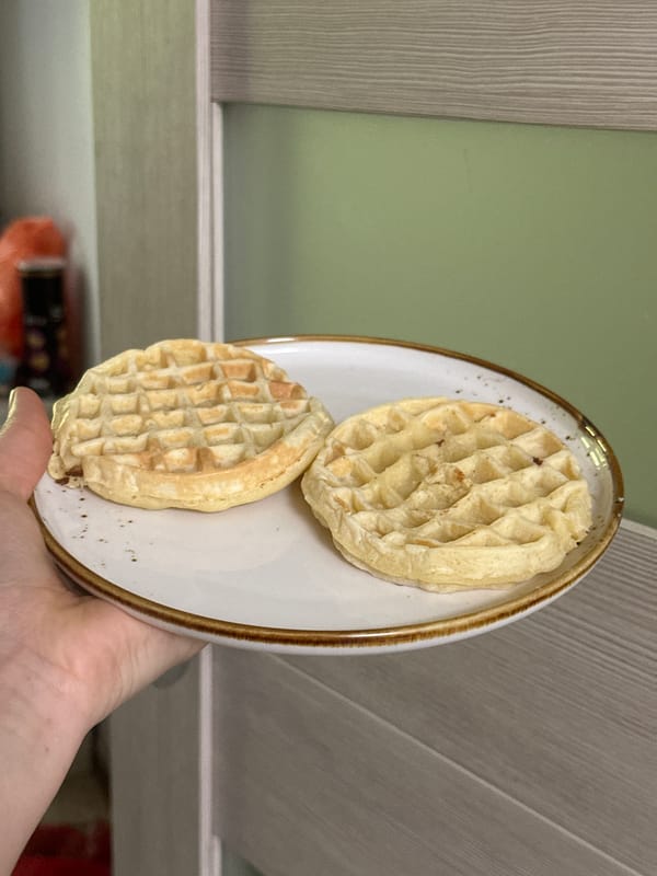 Waffles and a window cat on a sunny Moscow morning