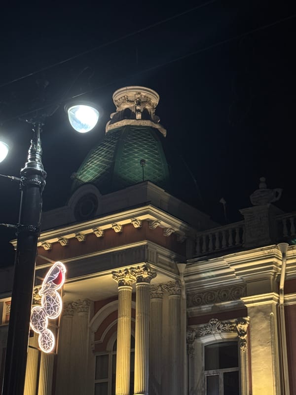 Historic neoclassical building with green dome photographed at night in Omsk