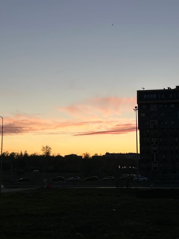 Evening documented in St. Petersburg with roses and sunset