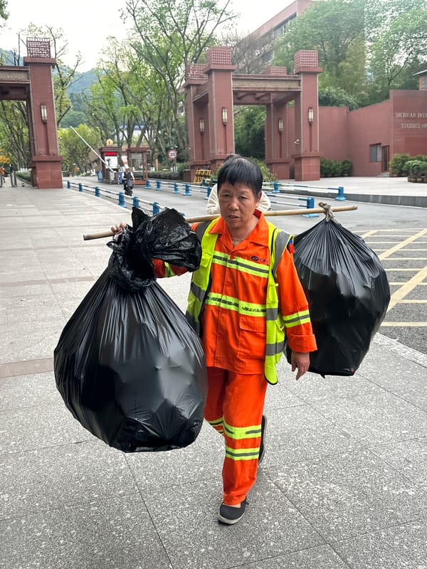 Sanitation worker collects trash in Shapingba District, China