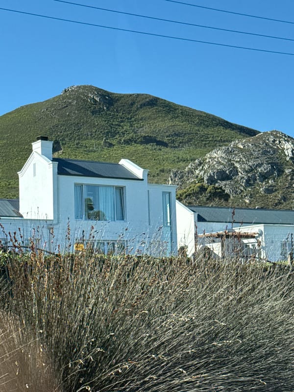 Modern house photographed against verdant mountain in South Africa