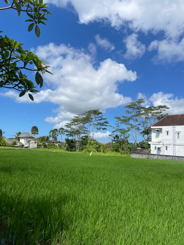 Woman rests near rice fields in Ubud, Indonesia