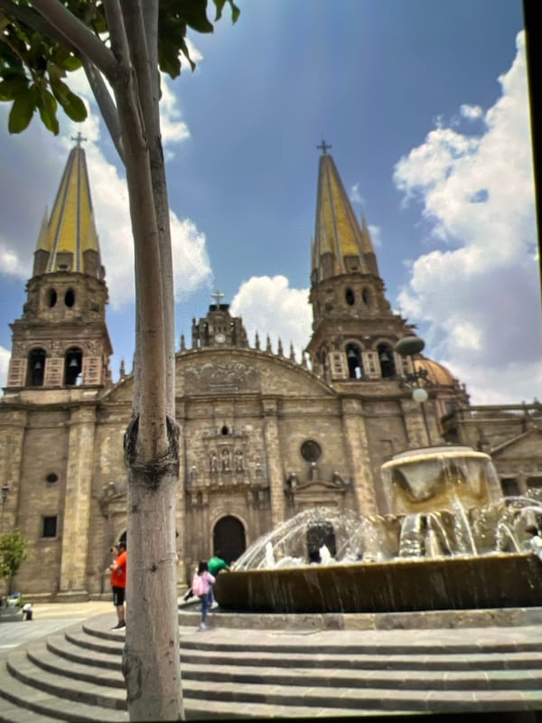 Ornate cathedral, cascading fountain, and two curious pugs